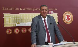Gürer: “Hububatta 2 Yılda 8 Milyon ton kayıp”