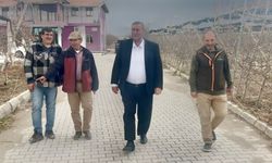 Gürer: “Meyvede üretim fiyatı belirleyecek”