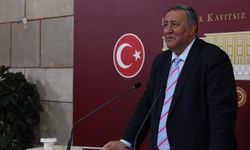 Gürer:”50 milyon kişi sağlıklı beslenemiyor”