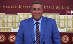 Gürer: ”Türkiye pestisit bildirimlerinde dünya ikincisi”