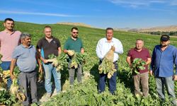 Gürer: “Çiftçinin borcu 55 Aydır aralıksız artıyor”