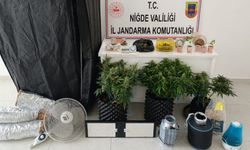 Jandarmadan narkotik operasyonu