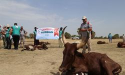 Cansuyu Derneği’nden Kurban Hisse bedeli duyurusu