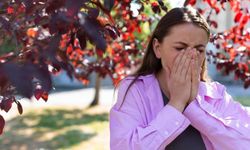 Baharla birlikte gelen polen mevsimi kabusunuz olmasın