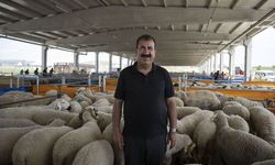TÜRKYED’den kurbanlık uyarıları