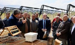 Ana Arı Yetiştiriciliği Kursu tamamlandı