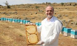 NÖHÜ’den Ekonomiye dev katkı