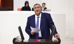 Gürer: ”Üniversite bitiyor, işsizlik başlıyor”