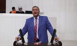 Gürer: “TMO kara gün dostu olmalı”