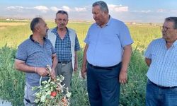 Gürer:“Üretici-çiftçi borcunu ödeyemeyince icra kapıda”
