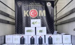 Kaçak Alkol Operasyonu: 6 Gözaltı!