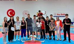 Niğde Wushu Takımından 17 Madalya