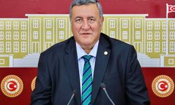 Gürer: "Üretici destek beklerken kesintiyle karşılaşıyor"