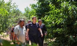 Vali Akmeşe’den köylerde hasat ve istişare