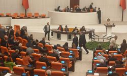 Çerçeve Yasa kanun teklifi 467 oy ile yasalaştı