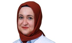 Seyahat sonrası ateşlenme sıtmanın habercisi olabilir