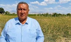 Gürer: ”Nohut üretenin de tüketenin de canını acıtıyor”
