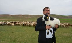 TÜRKYED :“Asıl hedef üreticiyi üretimde tutmaktır!”