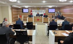 Mecliste Demirkazık ve Burç köyü imarı görüşüldü