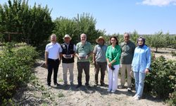 NÖHÜ Kampüsünde alternatif meyve hasadı