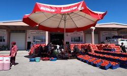 Niğde’de kışlık salça mesaisi başladı