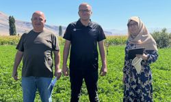 Bor'da Yem Bitkileri saha kontrolü