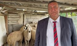 Gürer:”Hayvansal üretimde düşme raftaki fiyata da yansır”