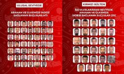 8 Farklı ülkeden 76 Suçlu Türkiye’ye iade edildi