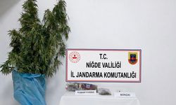 Jandarmadan Narkotik Operasyonu!