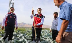 Vali Akmeşe’den Kaynarca’da inceleme ve hasat