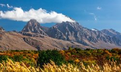 Çamardı’da Foto Safari için geri sayım