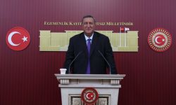 Gürer; “Enflasyonu süt mü tetikliyor, mazot mu?”