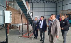 Kemerhisar’a Ceviz Tesisi ziyareti
