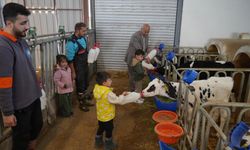 Minikler hayvansal üretimi yerinde öğrendi