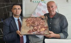 Yılmaz :”Ete erişemiyoruz”