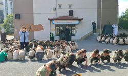 Bor'da Afet Bilinci Tatbikatla pekişti