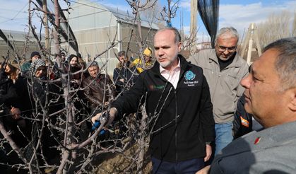 Üniversitede çiftçilere meyve ağacı budama eğitimi