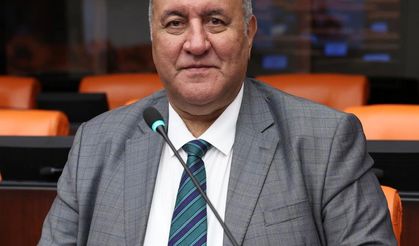 Gürer: Hayvancılıkta yaşanan sorunları meclis araştırmalıdır