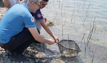 Niğde’de Göletlere Sazan Yavrusu Bırakıldı
