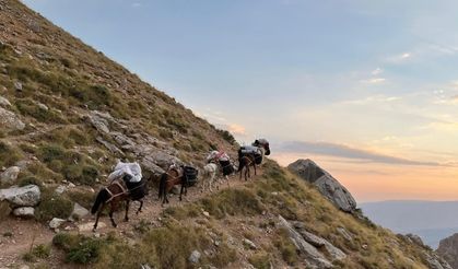 Aladağlar'ın şerpaları: Katırlarla zirve yolculuğu