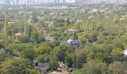 Kayardı Bağları Sonbaharın Renkleriyle Göz Kamaştırıyor