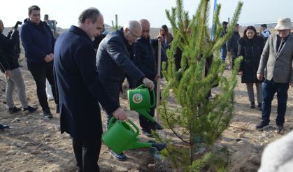 NÖHÜ’nün “Bal Ormanı” Projesinde 4. Etap Tamamlandı: 5 Bin Fidan Toprakla Buluştu
