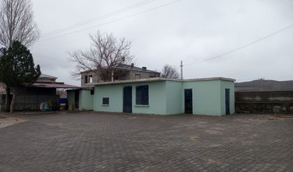 Mezarlıkta Mahsur kalan kedi kurtarıldı (VİDEO HABER)