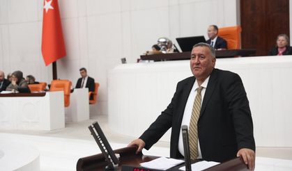 Gürer:“GES, tarım arazileri ile meraları tüketiyor”