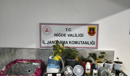 Ulukışla’da Narkotik Operasyonu