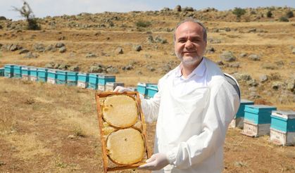 NÖHÜ’den Ekonomiye dev katkı