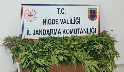 Hacıabdullah'ta Narkotik Operasyonu