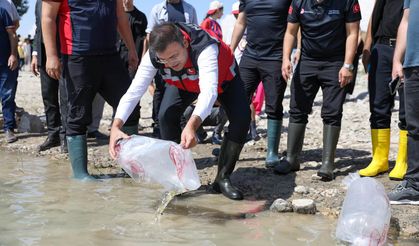 Bahçeli Gölet’ine yavru sazan bırakıldı