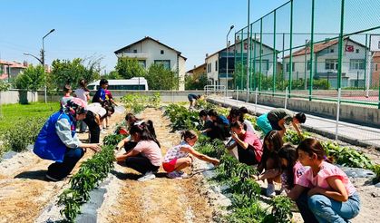 Bor’da gençler üretti, birlikte hasat etti