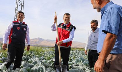 Vali Akmeşe’den Kaynarca’da inceleme ve hasat